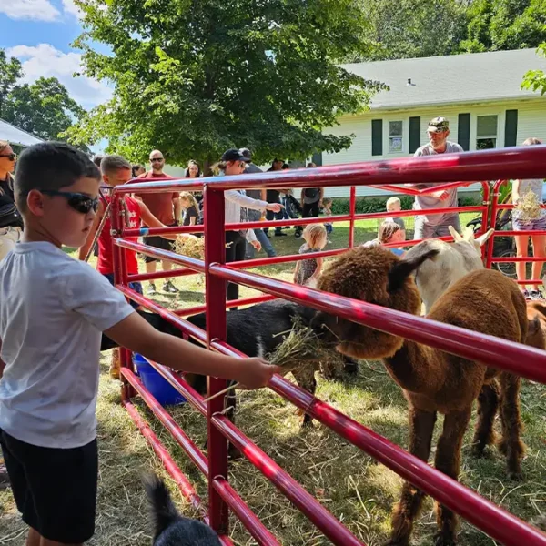 highland-historical-society-highland-il-harvest-days-2023-30